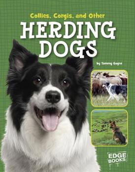 Hardcover Collies, Corgies, and Other Herding Dogs Book