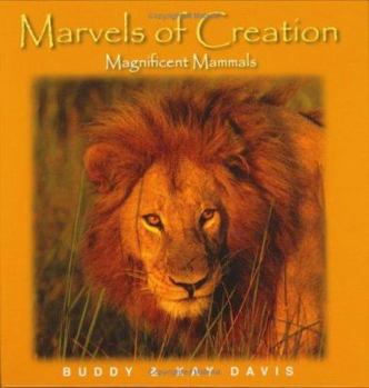 Hardcover Magnificent Mammals Book