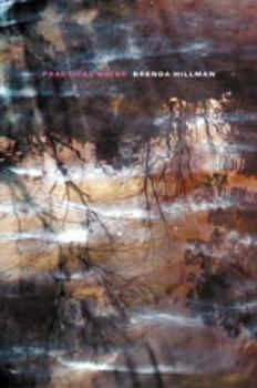 Hardcover Practical Water (Wesleyan Poetry Series) Book