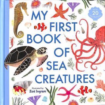 Hardcover My First Book of Sea Creatures Book