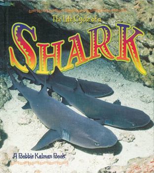 Paperback The Life Cycle of a Shark Book
