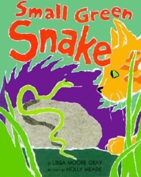 Hardcover Small Green Snake Book