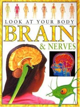 Brain And Nerves (Look at Your Body) - Book  of the Look at Your Body