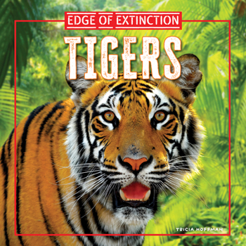 Paperback Tigers Book