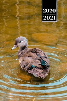 Duck Geese Goose Mallard Duckling Week Planner Weekly Organizer Calendar 2020 / 2021 - First Swimming Lesson: Cute Wildlife Animal Pet Bullet Journal Notebook Diary in 6” x 9” Inch Pocket Size