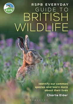 Paperback Rspb Everyday Guide to British Wildlife: Identify Our Common Species and Learn More about Their Lives Book