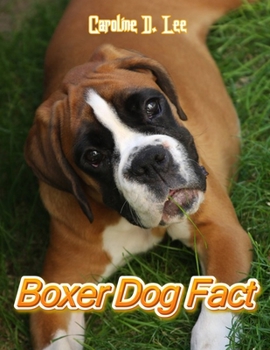 Boxer dog Fact: Animal fact for girl age 1-10 Animal fact for boy age 1-10 boxer dog on fact