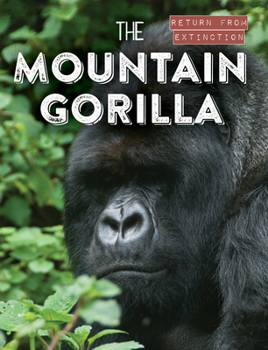 Library Binding The Mountain Gorilla Book