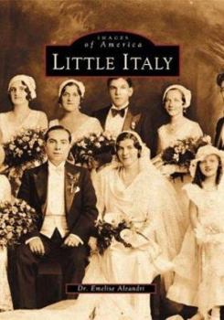 Paperback Little Italy Book