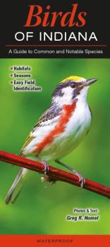 Birds of Indiana: A Guide to Common and Notable Species