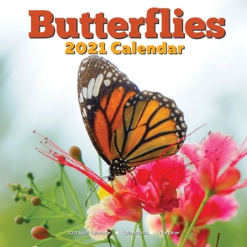 Butterflies 2021 Wall Calendar: Lover Gifts
