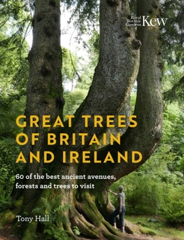 Hardcover Great Trees of Britain and Ireland: 60 of the Best Ancient Avenues, Forests and Trees to Visit Book