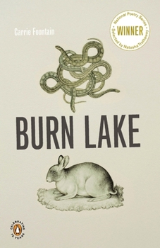 Paperback Burn Lake Book