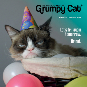 Calendar 2025 Grumpy Cat Mini calendar Book