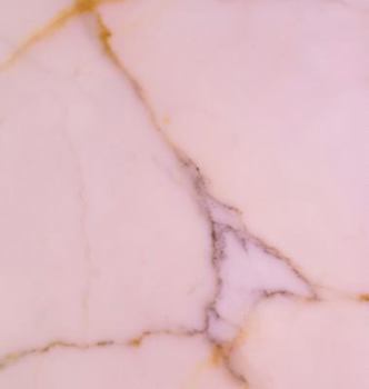 Hardcover 8: 20 in the Lobby Book