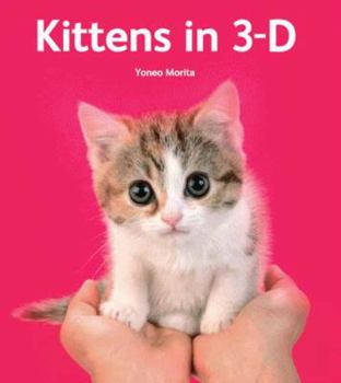 Hardcover Kittens in 3-D [With 3-D Viewer] Book