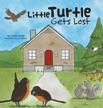 Hardcover Little Turtle Gets Lost Book