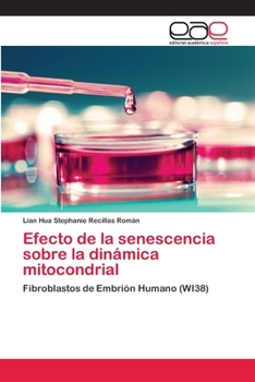 Paperback Efecto de la senescencia sobre la dinámica mitocondrial [Spanish] Book