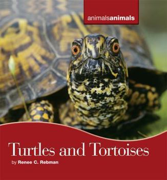 Library Binding Turtles and Tortoises Book