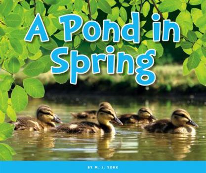 Library Binding A Pond in Spring Book