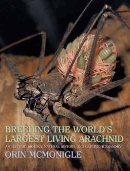 Hardcover Breeding the World's Largest Living Arachnid: Amblypygid (Whipspider) Biology, Natural History, and Captive Husbandry Book