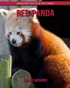 Red panda: Amazing Facts & Pictures
