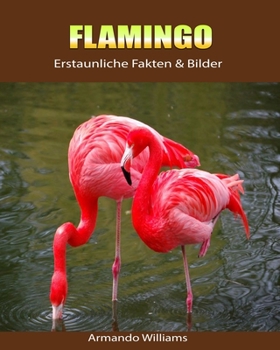 Paperback Flamingo: Erstaunliche Fakten & Bilder [German] Book