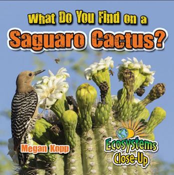 Hardcover What Do You Find on a Saguaro Cactus? Book