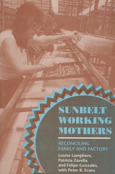 Paperback Sunbelt Working Mothers Book