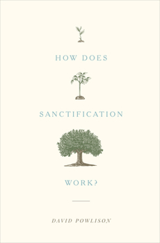 Paperback How Does Sanctification Work? Book