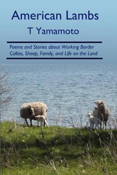 Paperback American Lambs: Poems and Stories about Working Border Collies, Sheep, Family, Book