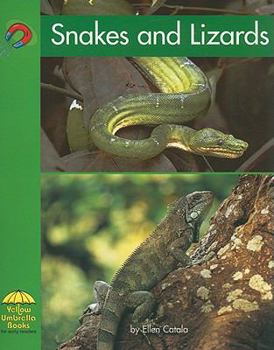 Snakes and Lizards - Book  of the Yellow Umbrella Books: Science ~ Spanish