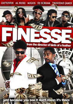 DVD Finesse Book