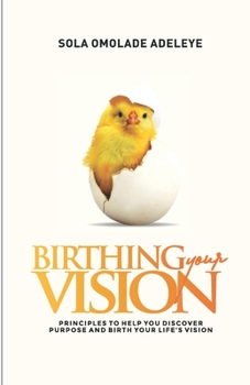 Paperback Birthing Your Vision: Proven steps to discover purpose and birth your life's vision Book