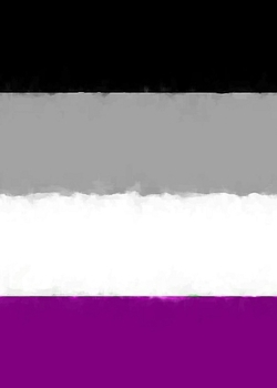 Paperback Asexual Pride Flag Sketchbook Book