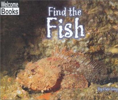 Hardcover Find the Fish Book