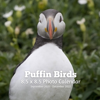 Paperback Puffin Birds 8.5 X 8.5 Calendar September 2021 -December 2022: Monthly Calendar with U.S./UK/ Canadian/Christian/Jewish/Muslim Holidays-Bird Animal Nature Book