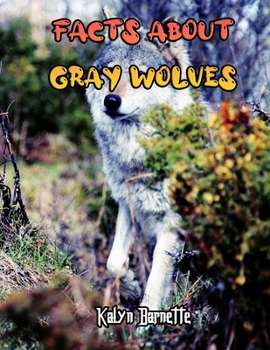 Paperback Facts about Gray Wolves: GRAY WOLVES fact for girl age 1-10 GRAY WOLVES fact for boy age 1-10 gray wolves facts Book