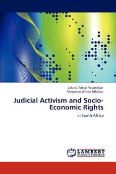 Paperback Judicial Activism and Socio-Economic Rights Book