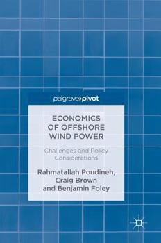 Hardcover Economics of Offshore Wind Power: Challenges and Policy Considerations Book