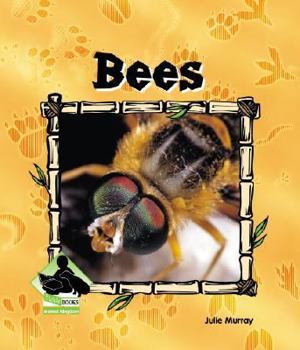 Bees - Book  of the Buddy Books