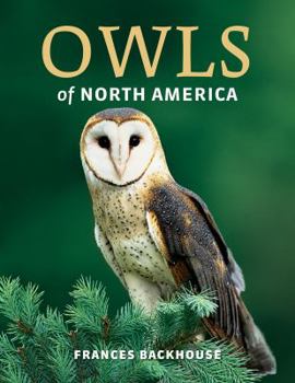 Paperback Owls of North America Book