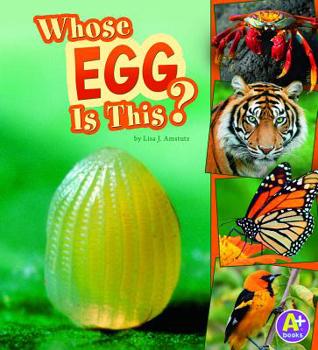 Whose Egg Is This? - Book  of the Nature Starts