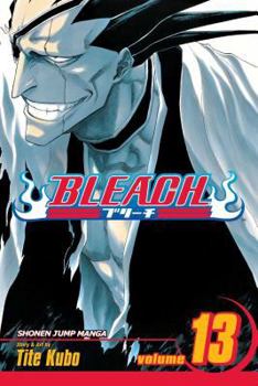 BLEACH13 - Book #13 of the Bleach