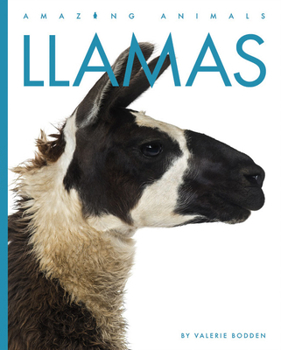 Paperback Llamas Book