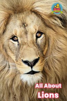 All about Lions
