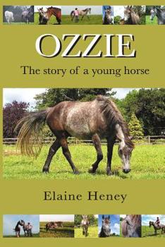 Paperback Ozzie - The Story of a Young Horse Book