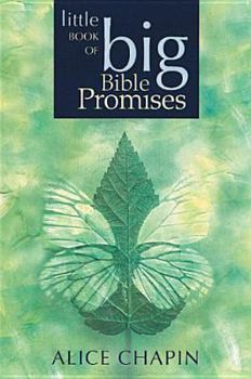 Paperback The Little Book of Big Bible Promises Book