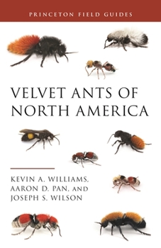 Paperback Velvet Ants of North America Book