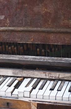 Paperback Floored!: The Poetry of Maiche Lev Book